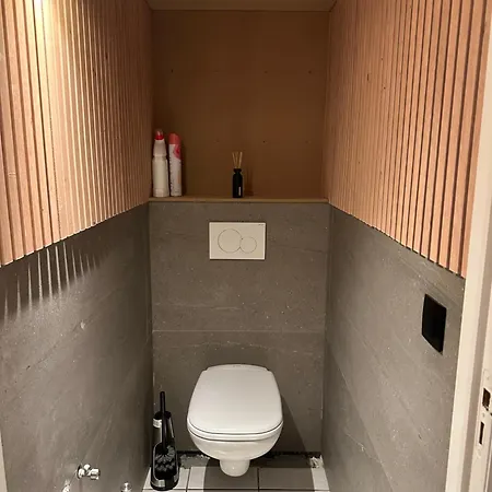 아파트 C- View Palace 블랑켄베르크